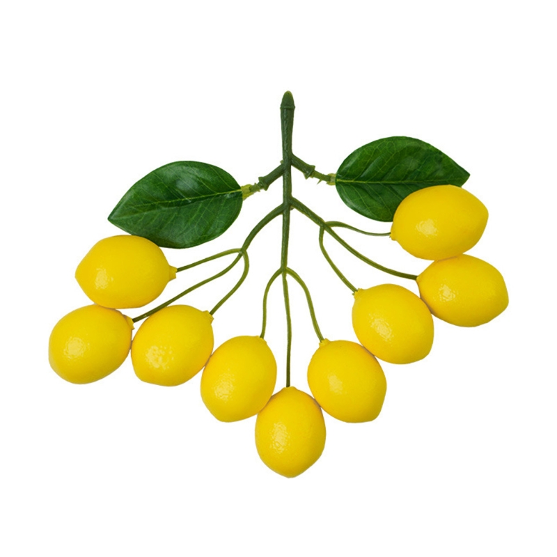 فروع الليمون الاصطناعي محاكاة  - مراجعة Photography Yellow وسعره